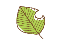 ̐